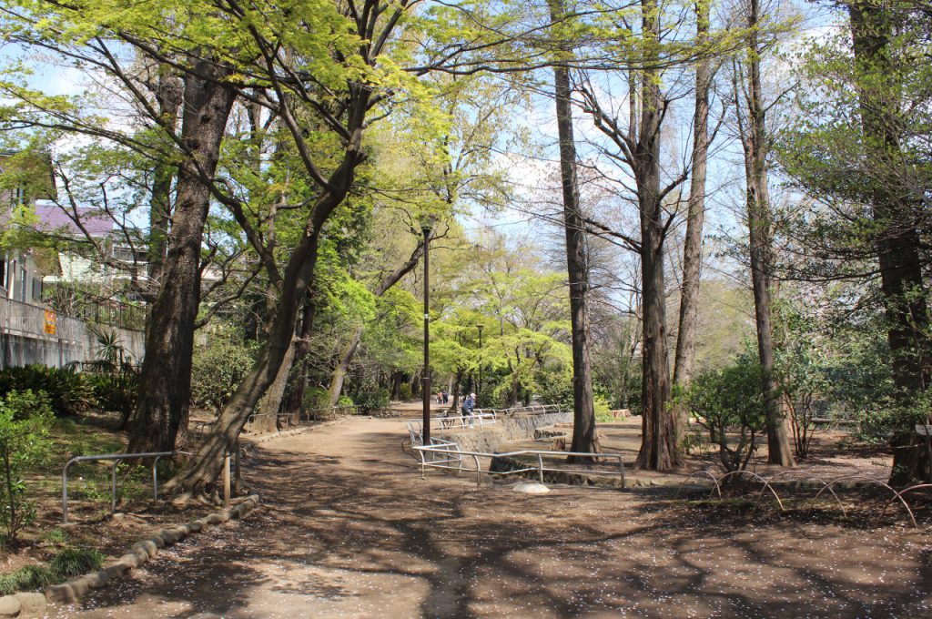 武蔵関公園緑