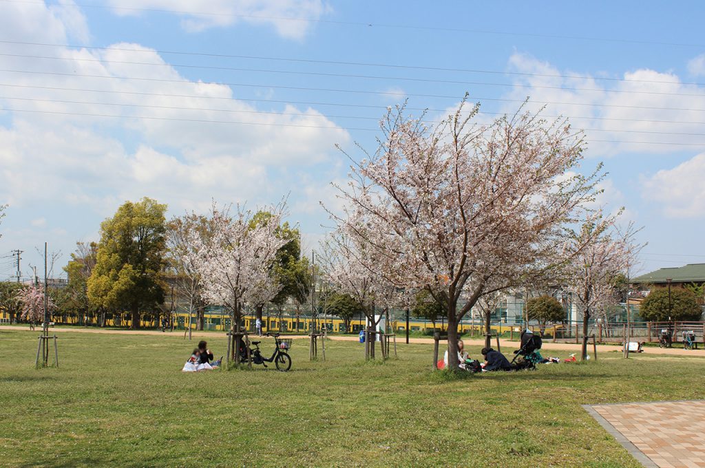 公園