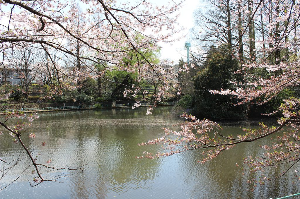 武蔵関公園