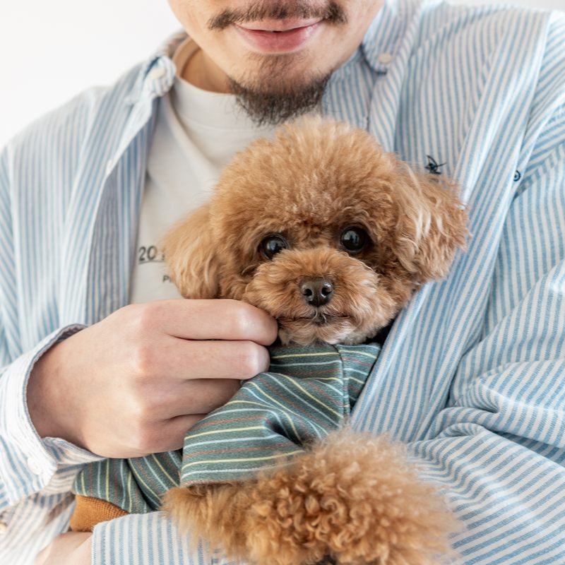 愛犬を抱く男性