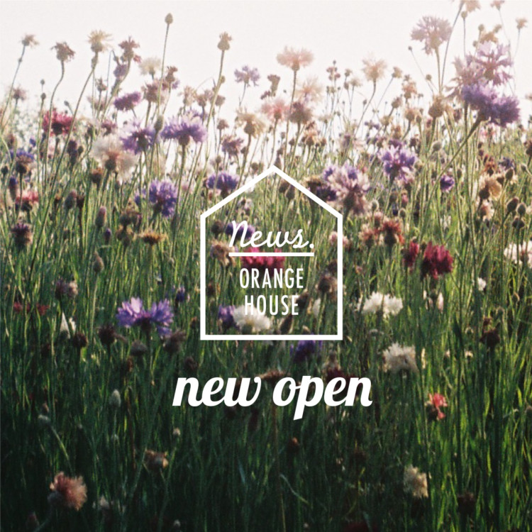 相模原モデルハウス NEW OPENのお知らせ