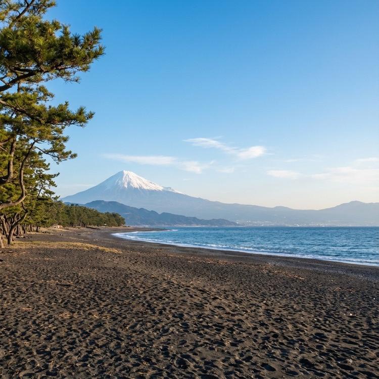 特別な日に、特別なコトをしよう🎄🎍[移住・二拠点に最適]